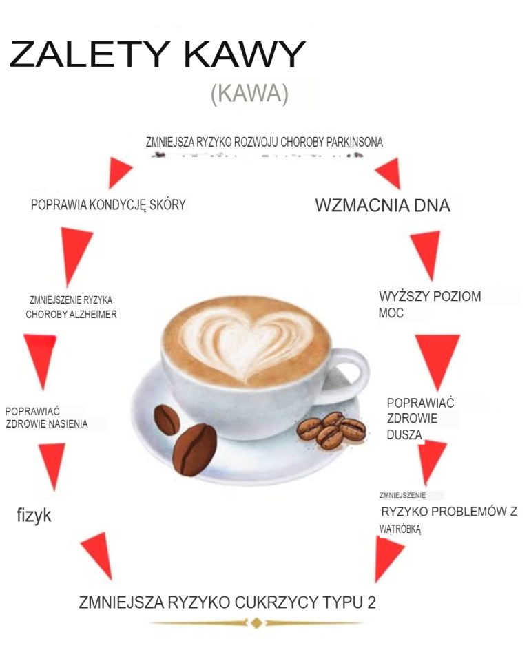 Początki kawy sięgają Etiopii, gdzie była uprawiana w XV wieku