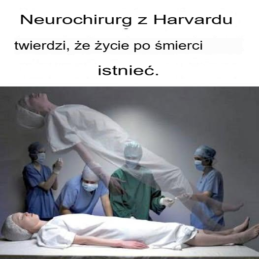 Neurochirurg z Harvard potwierdza istnienie życia po śmierci