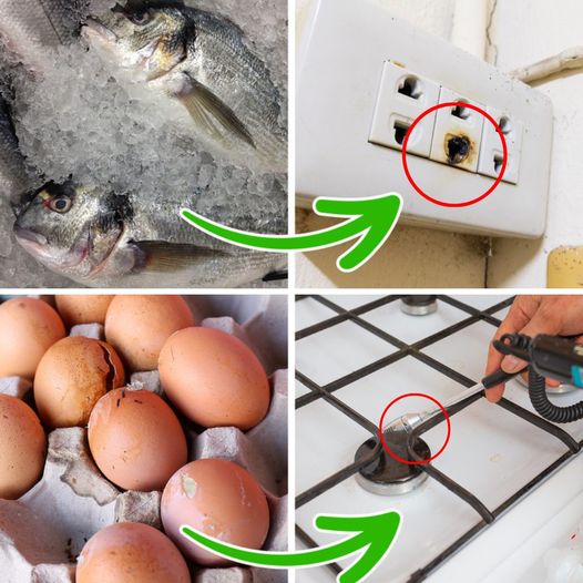 10 przyczyn nieprzyjemnych zapachów w domu i jak się ich pozbyć, aby utrzymać przestrzeń życiową świeżą, pachnącą i bezpieczną