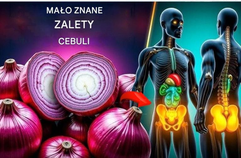 Korzyści zdrowotne cebuli