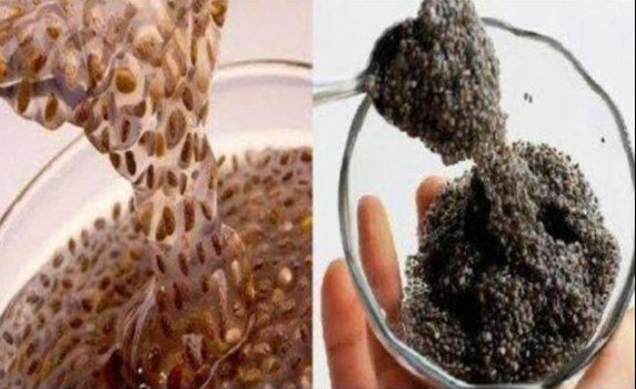 Wszystko, co musisz wiedzieć o słynnej Chia