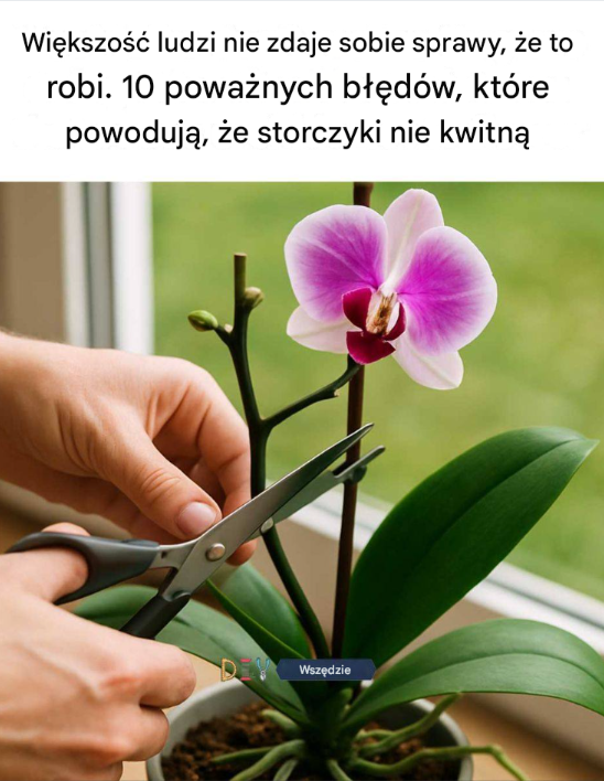 Większość ludzi nie zdaje sobie sprawy, że to robi.