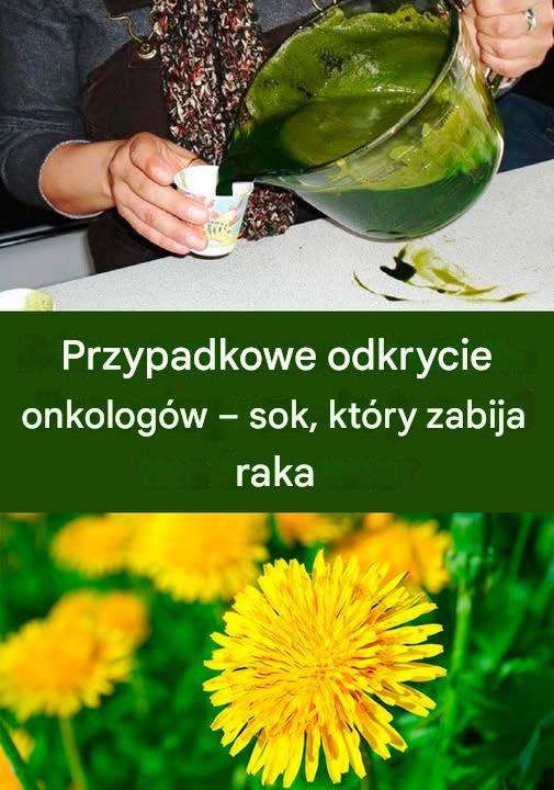 Korzeń mniszka lekarskiego: skuteczniejszy niż chemioterapia