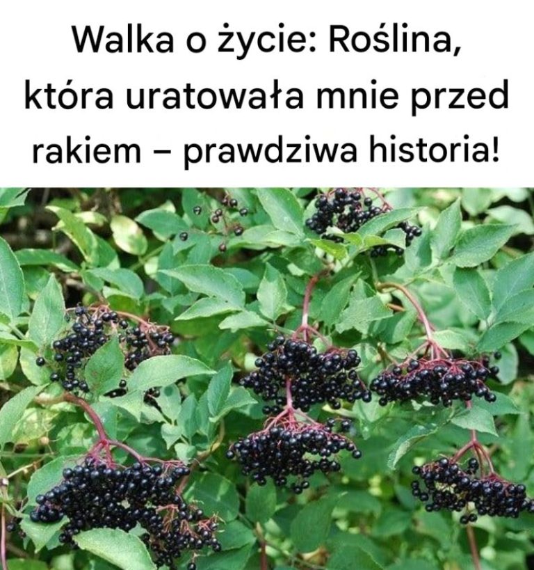 Walcz z rakiem: 20 produktów, których koniecznie musisz spróbować