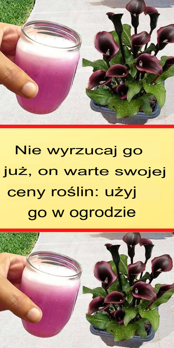 Nie wyrzucaj, to złoto dla twoich roślin: wykorzystaj w ogrodzie - haustiersos