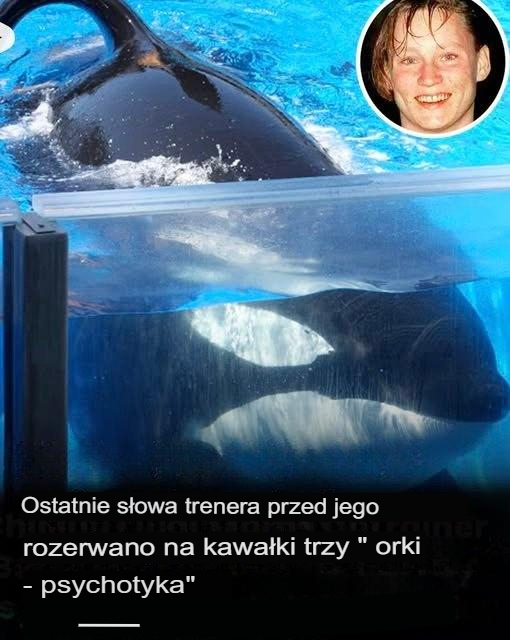 Ostatnie słowa trenera rozszarpywanego przez „psychotyczne” orki wywołują dreszcze na plecach