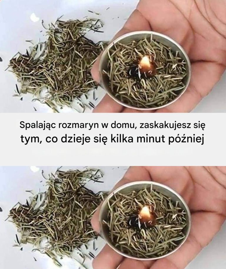 Dlaczego warto palić rozmaryn w domu?