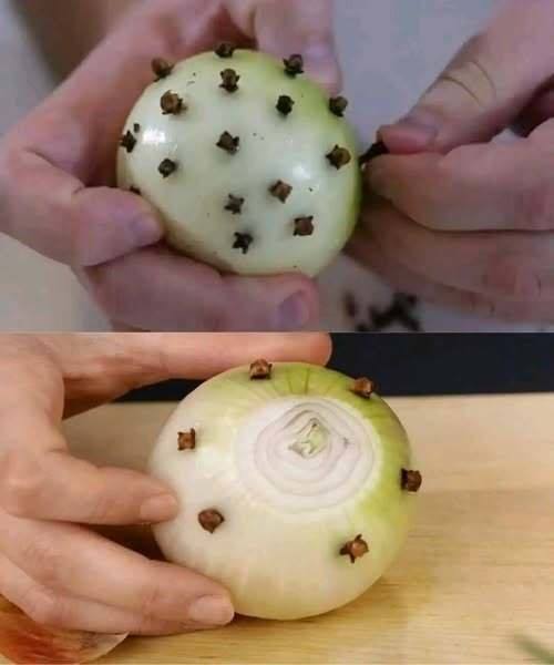 Moja francuska babcia zawsze wkłada goździk do cebuli: byłem zaskoczony, gdy odkryłem powód