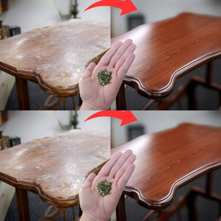 Zielona Herbata: Naturalny Eliksir do Odnawiania Mebli – Przewodnik po Niezwykłych Zastosowaniach