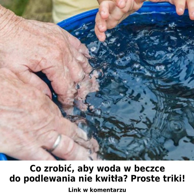 Co zrobić, aby woda w beczce do podlewania nie kwitła: proste sztuczki