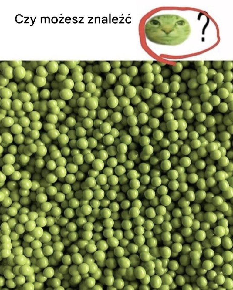 Złudzenie optyczne: Czy uwierzyłbyś, gdybyśmy Ci powiedzieli, że na tym zdjęciu jest kot?