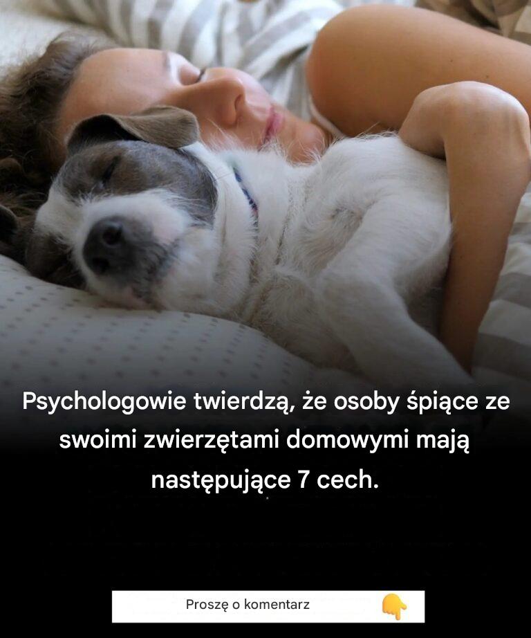 Psychologowie twierdzą, że osoby śpiące ze swoimi zwierzętami mają siedem wspólnych cech.