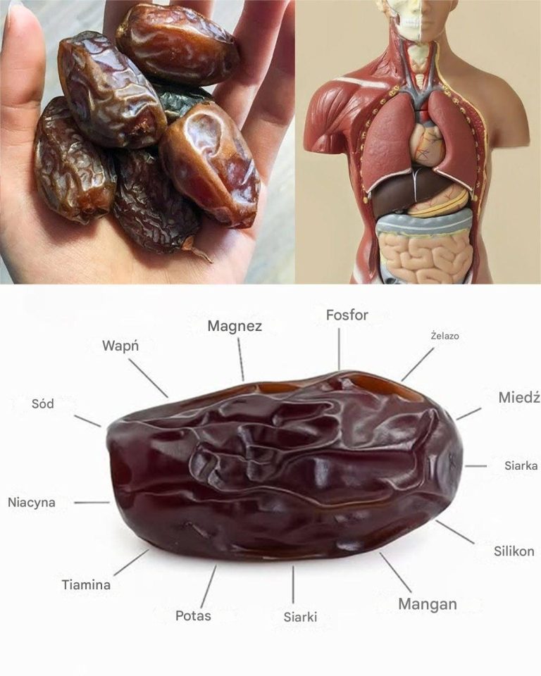 Niesamowite korzyści z daktyli: superżywność pełna składników odżywczych