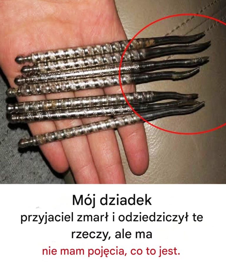 Dziadek mojego przyjaciela zmarł i odziedziczył tę rzecz… ale nie miał pojęcia, co to jest.