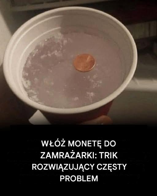 Powód, dla którego zawsze powinieneś włożyć monetę do zamrażarki