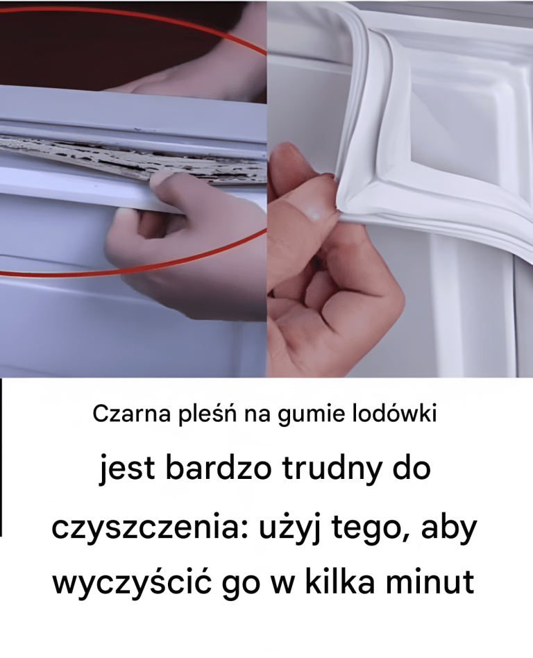 Czarną pleśń na uszczelce lodówki bardzo trudno wyczyścić: użyj tego środka, aby wyczyścić ją w kilka minut