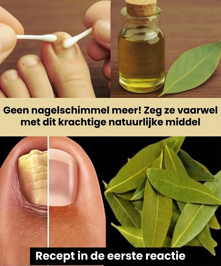 Prawdziwy przepis na Paté Lorrain Łatwy i szybki w przygotowaniu